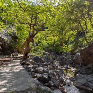 Φαράγγι της Αγάλης: το στολίδι της Δίρφυος: