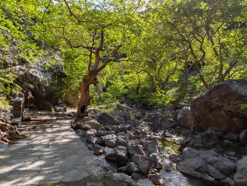 Φαράγγι της Αγάλης: το στολίδι της Δίρφυος: